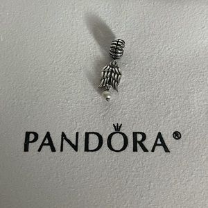 PANDORA charm RETIRED